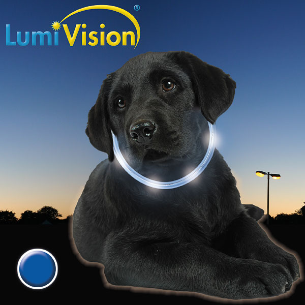 LumiVision Leuchthalsband blau